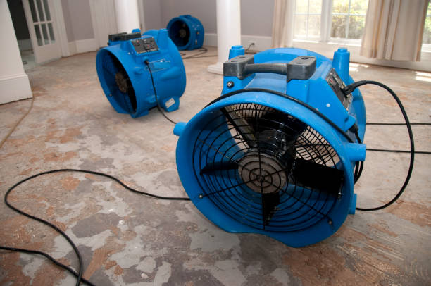 Best Emergency water damage restoration  in North Aurora, IL