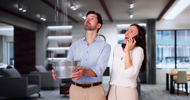 Best Water damage restoration near me  in North Aurora, IL